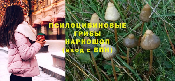 гашик Белоозёрский
