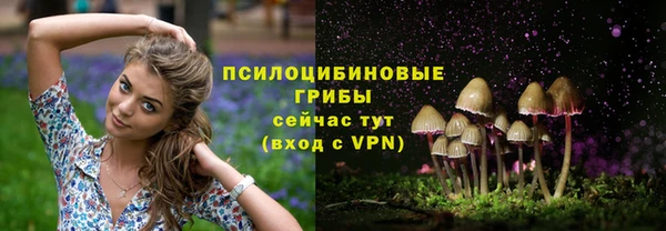 гашик Белоозёрский